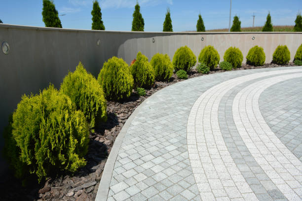Best Brick Driveway Pavers  in District Heights, MD